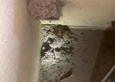 Air Duct Cleaning (1)